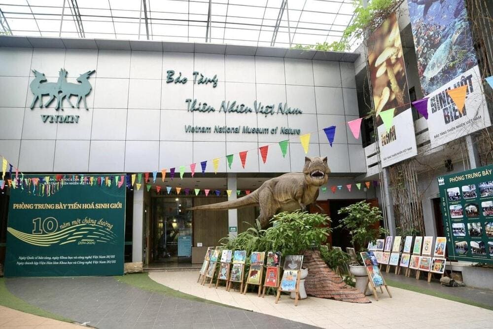 Bảo t&agrave;ng thi&ecirc;n nhi&ecirc;n Việt Nam l&agrave; điểm đến l&yacute; tưởng để kh&aacute;m ph&aacute; thế giới động - thực vật thu nhỏ giữa l&ograve;ng H&agrave; Nội (Nguồn: Bảo t&agrave;ng Thi&ecirc;n nhi&ecirc;n Việt Nam)